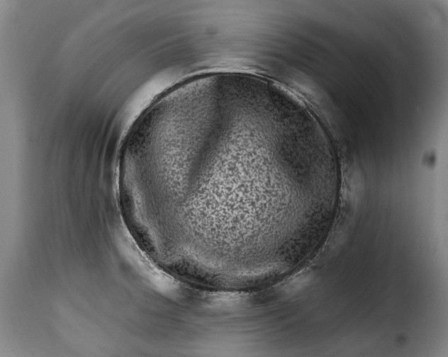 X0000115381188200911241256