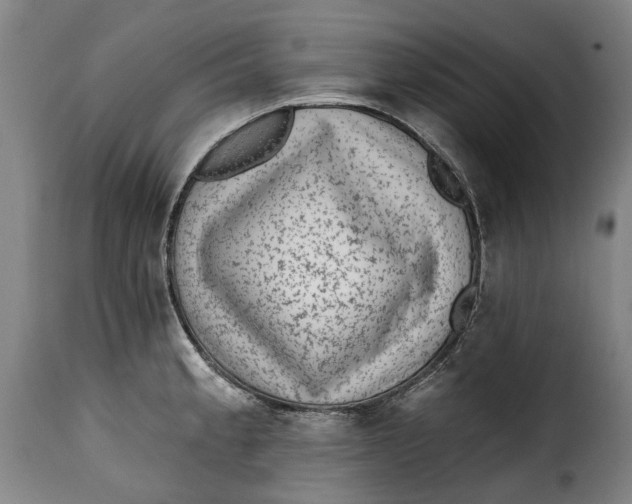 X0000115381189200911241256