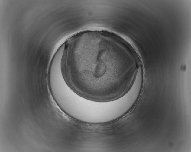 X0000115381191200911241256