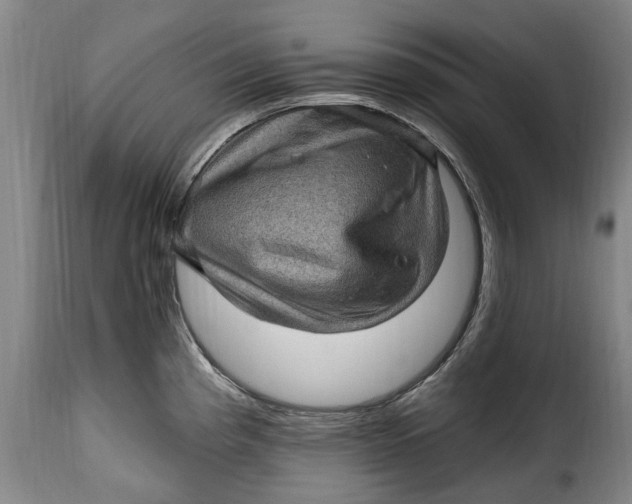 X0000115381193200911241256