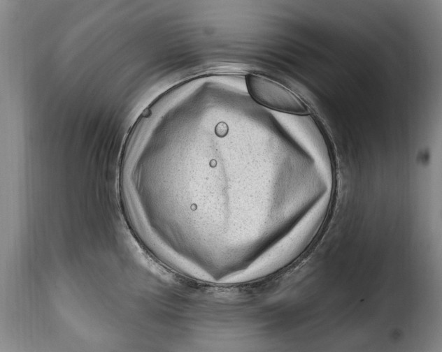 X0000115381194200911241256