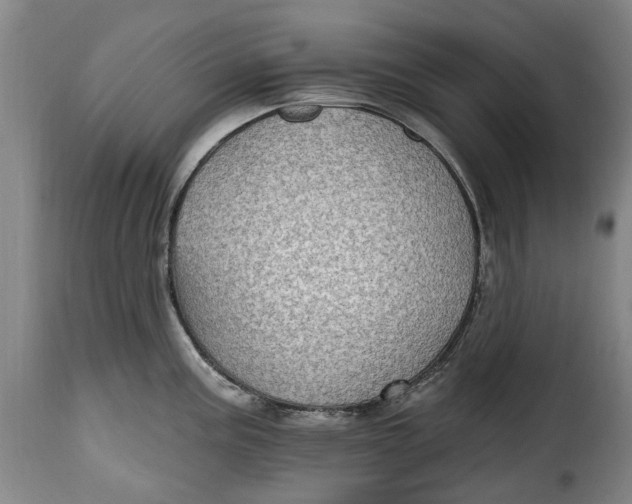 X0000115381195200911241256