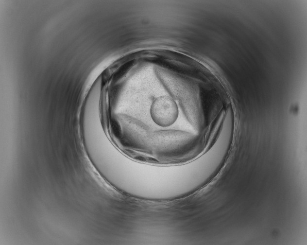 X0000115381196200911241256