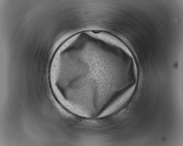 X0000115381197200911241256