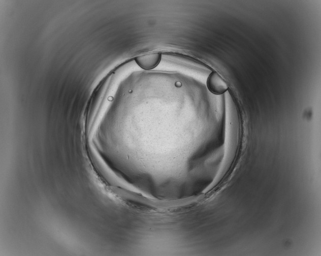 X0000115381198200911241256