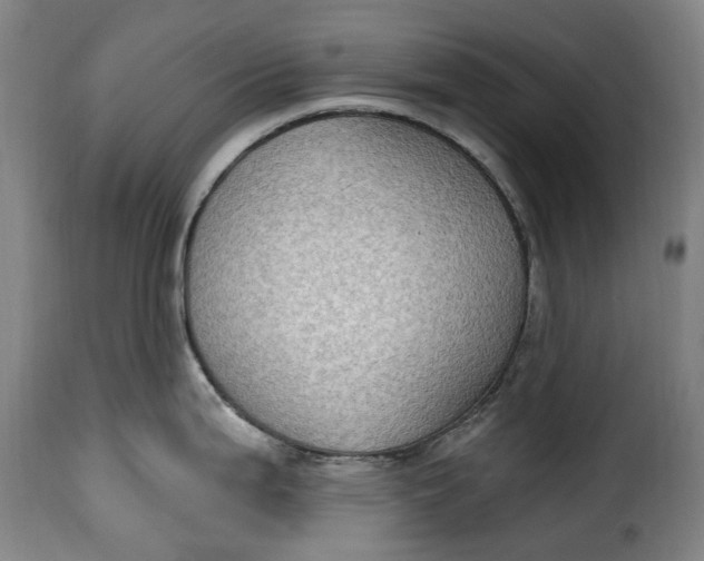 X0000115381199200911241256