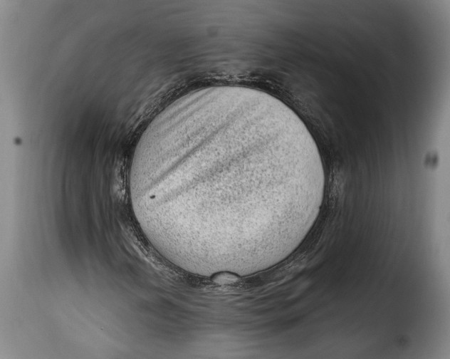 X0000115381202200911241256