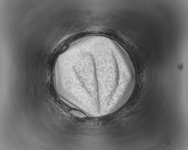 X0000115381206200911241256