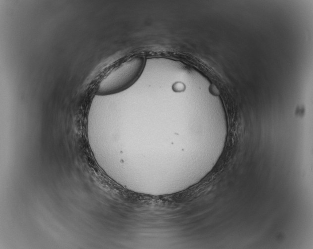 X0000115381207200911241256