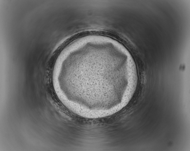 X0000115381208200911241256