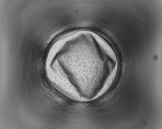 X0000115381210200911241256