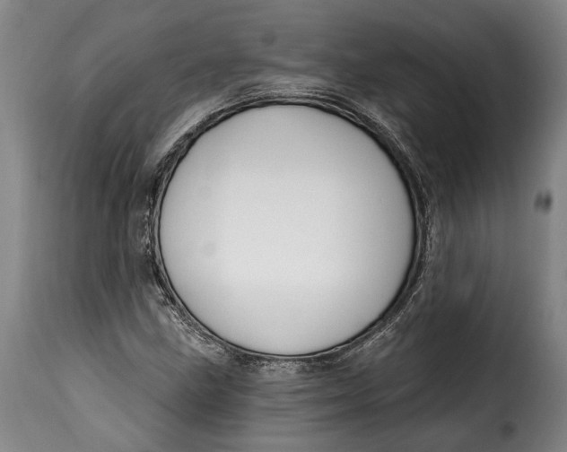 X0000115381211200911241256