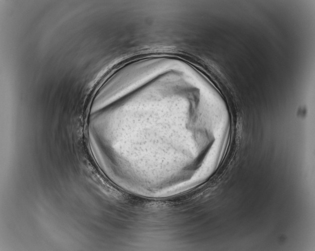 X0000115381212200911241256