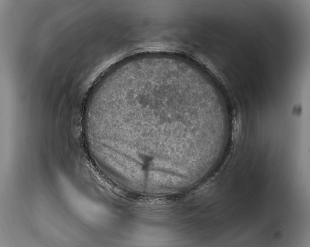 X0000115381213200911241256