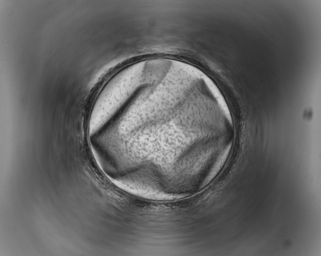 X0000115381214200911241256