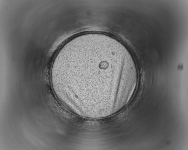 X0000115381215200911241256