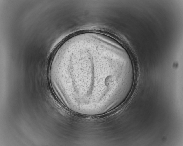 X0000115381216200911241256