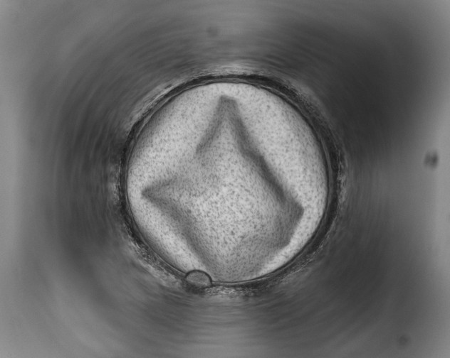 X0000115381217200911241256