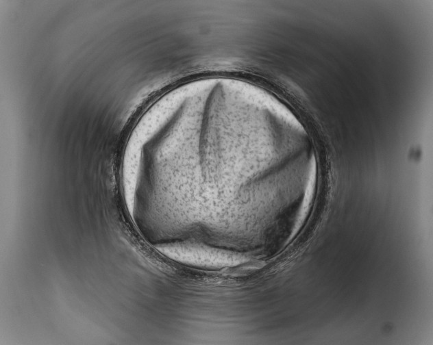 X0000115381218200911241256