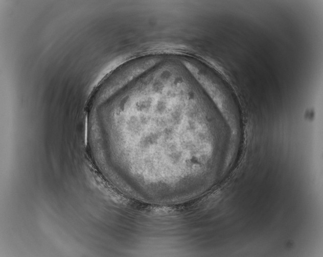 X0000115381219200911241256