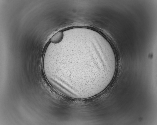 X0000115381220200911241256