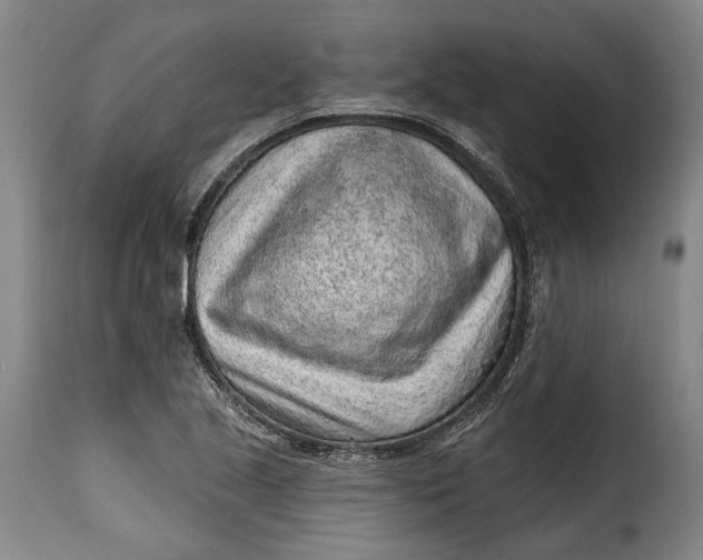 X0000115381221200911241256