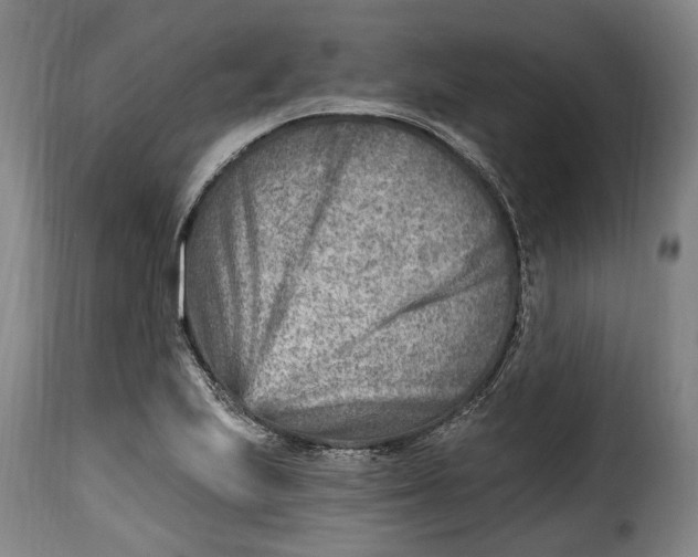 X0000115381223200911241256