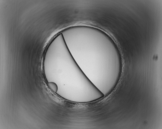 X0000115381224200911241256