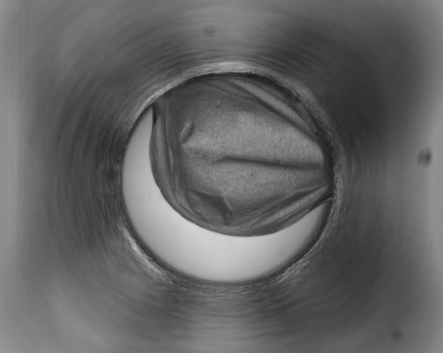 X0000115381225200911241256