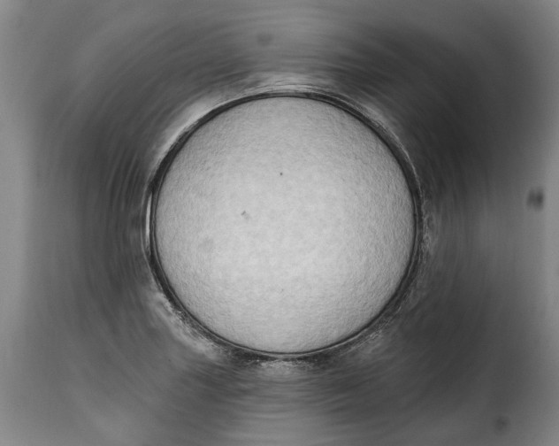 X0000115381227200911241256