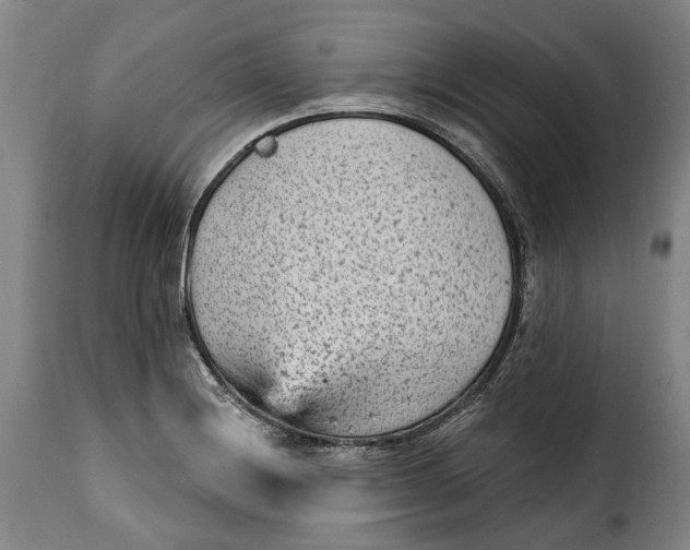 X0000115381228200911241256