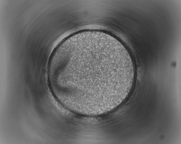 X0000115381229200911241256