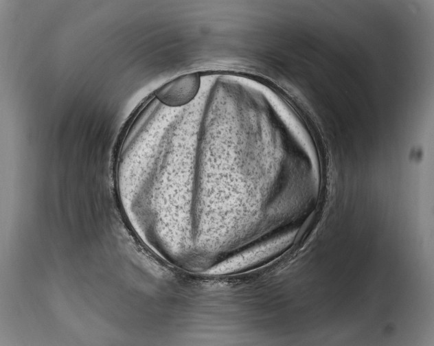 X0000115381230200911241256