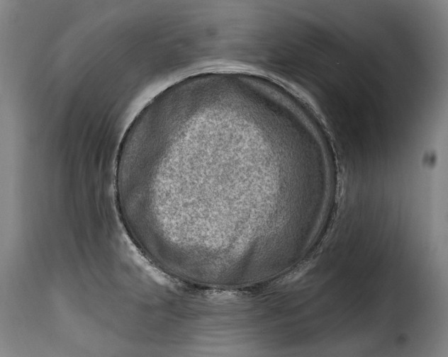 X0000115381231200911241256