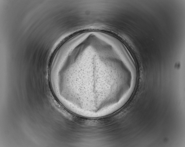 X0000115381232200911241256