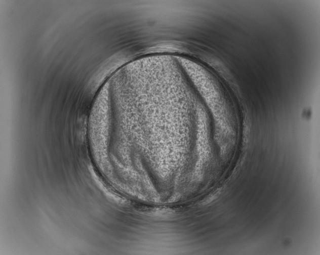 X0000115381233200911241256