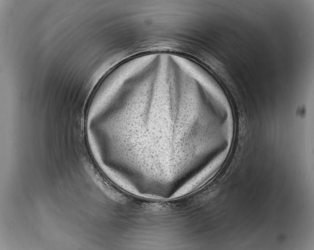 X0000115381234200911241256