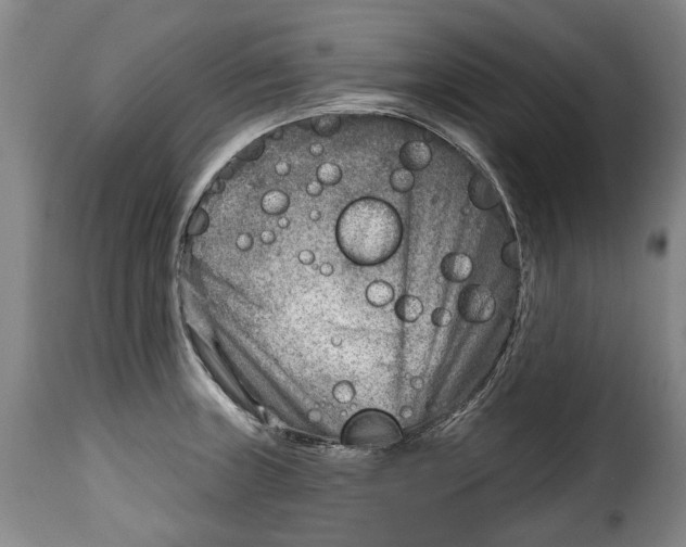 X0000115381235200911241256