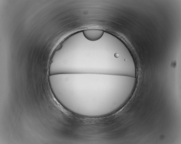 X0000115381236200911241256