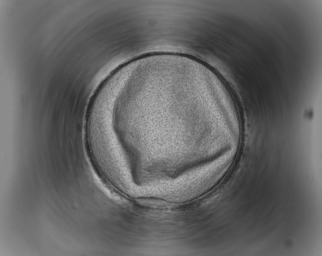 X0000115381237200911241256