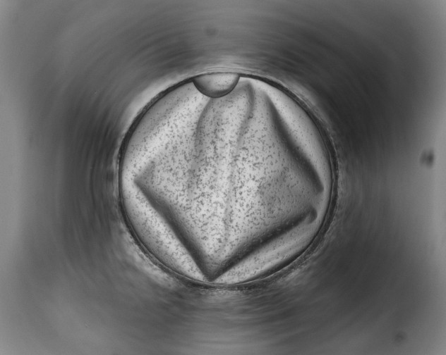 X0000115381238200911241256