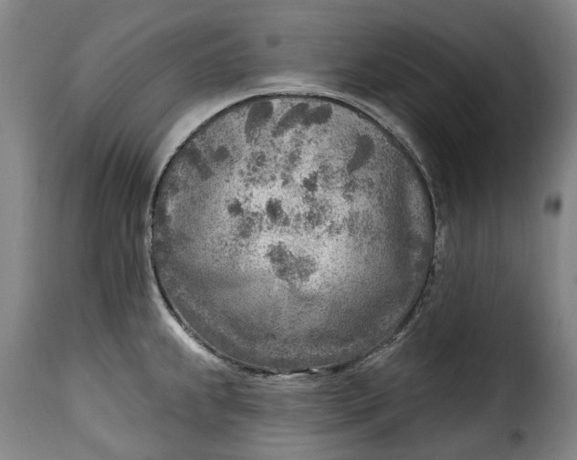 X0000115381239200911241256