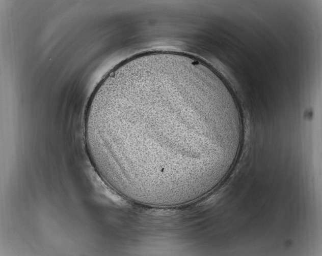 X0000115381240200911241256