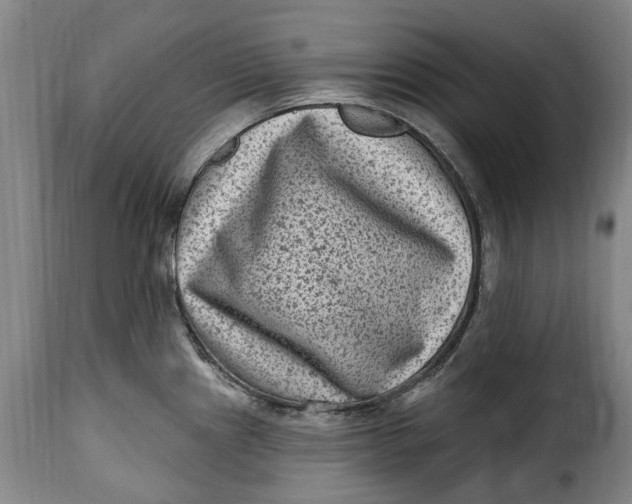 X0000115381241200911241256