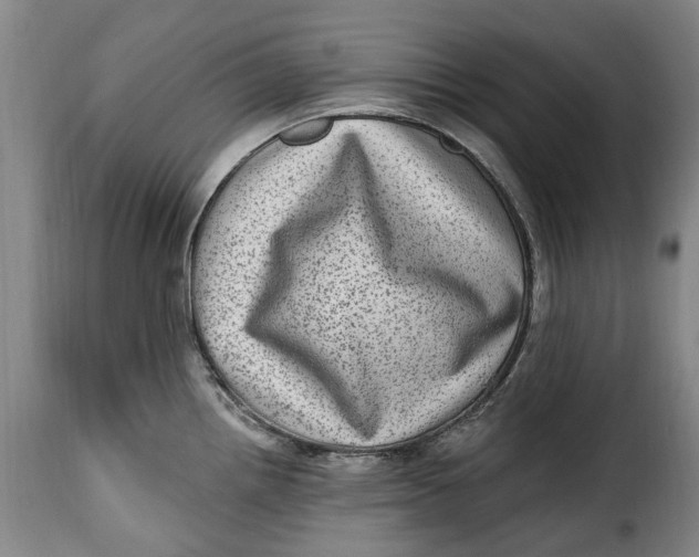 X0000115381242200911241256