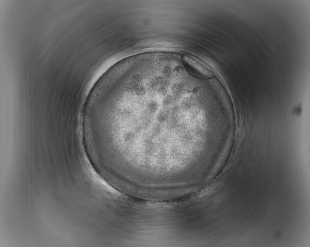 X0000115381243200911241256