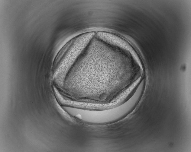 X0000115381244200911241256