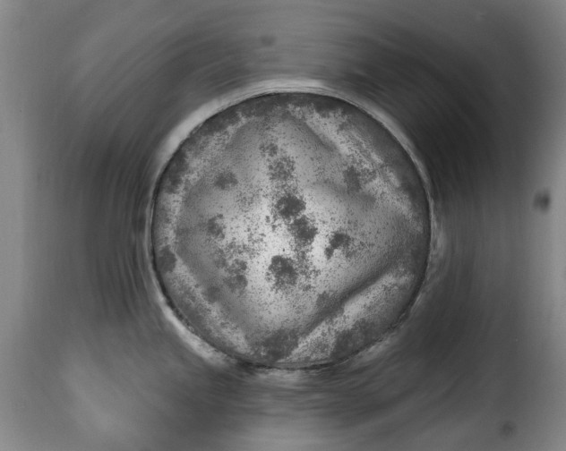 X0000115381245200911241256