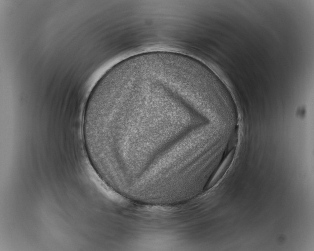 X0000115381246200911241256