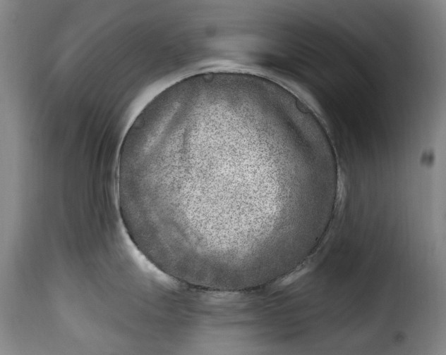 X0000115381247200911241256